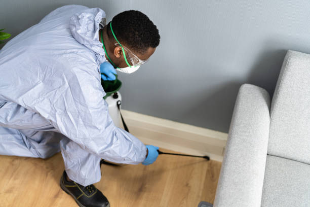 Best Residential Pest Control  in Level Green, PA